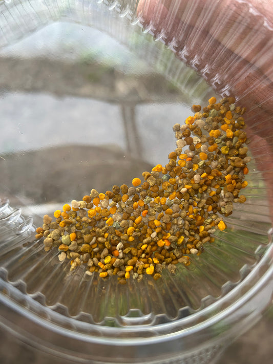 Fresh pollen (frozen)